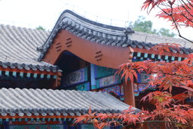 香山红枫美景