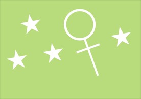 星星和女标注