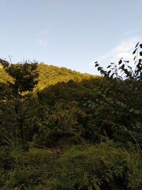 美丽的大山风景
