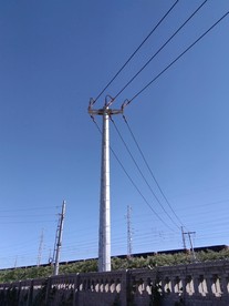 电线杆