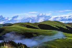 草原风景