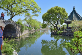 公园小桥