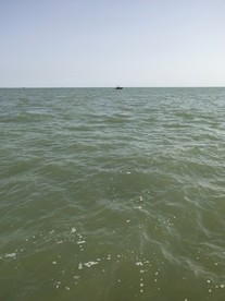 海水