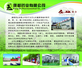 企业展板