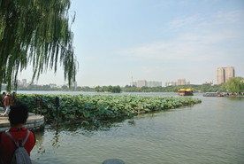 大明湖  济南大明湖   济南