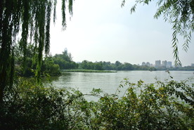 大明湖  济南大明湖   济南