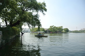 大明湖  济南大明湖   济南