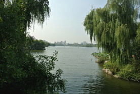 大明湖  济南大明湖   济南