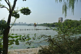 大明湖  济南大明湖   济南