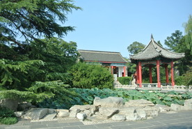 大明湖  济南大明湖   济南