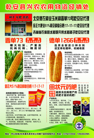 种子化肥农药宣传单