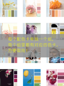 平面设计甜美色卡配色