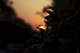 夕阳