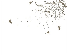 柳树