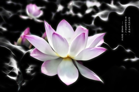 荷花水墨画