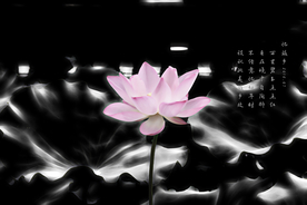 荷花水墨画