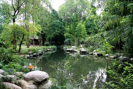 庭院