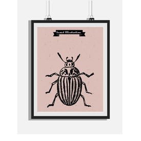 欧式复古手绘甲虫黑白版画装饰画