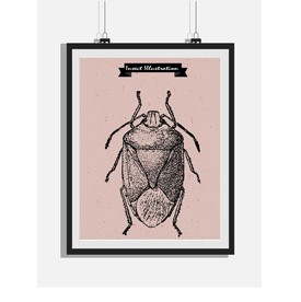 欧式复古手绘甲虫黑白版画装饰画