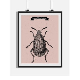 欧式复古手绘昆虫黑白版画装饰画