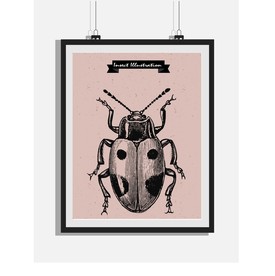 欧式复古手绘甲壳黑白版画装饰画