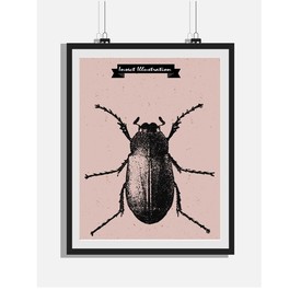 欧式复古手绘甲虫黑白版画装饰画
