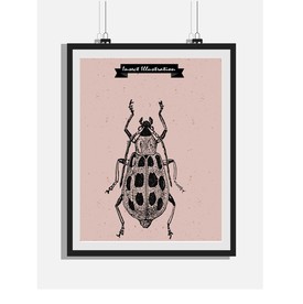 欧式复古手绘昆虫黑白版画装饰画