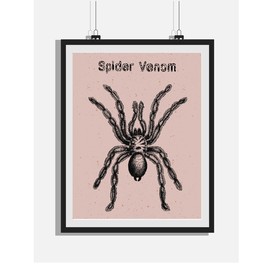 欧式复古手绘蜘蛛黑白版画装饰画