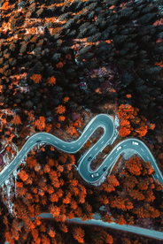 俯瞰森林公路