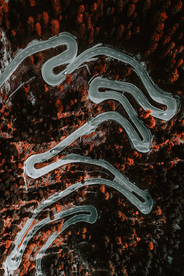 俯瞰森林公路