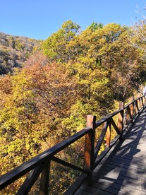 风景