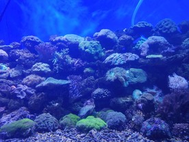 海底世界