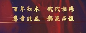 金属立体字 影视字体——可编辑