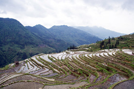 加榜梯田
