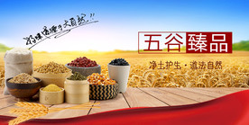 五谷杂粮海报
