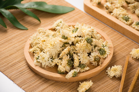 杭白菊