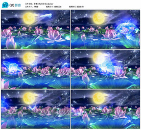 唯美荷塘月色蝴蝶 舞台背景视频