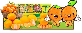桔子氛围吊牌