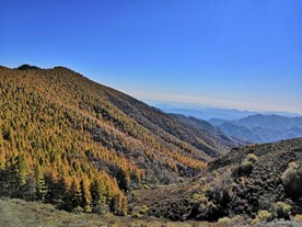 蓝天大山