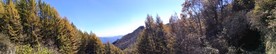 松山