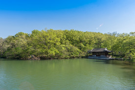 公园湖泊