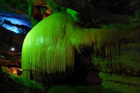 大象吸水