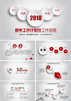 总结报告