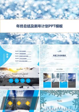 总结报告