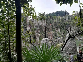 树荫那边的风景