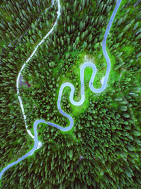 俯瞰森林公路