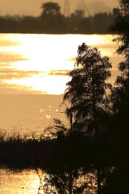 夕阳海边