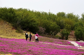 旅游风光