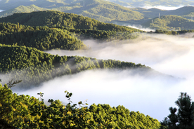 云雾青山云海风景