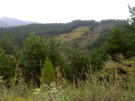 远处的山